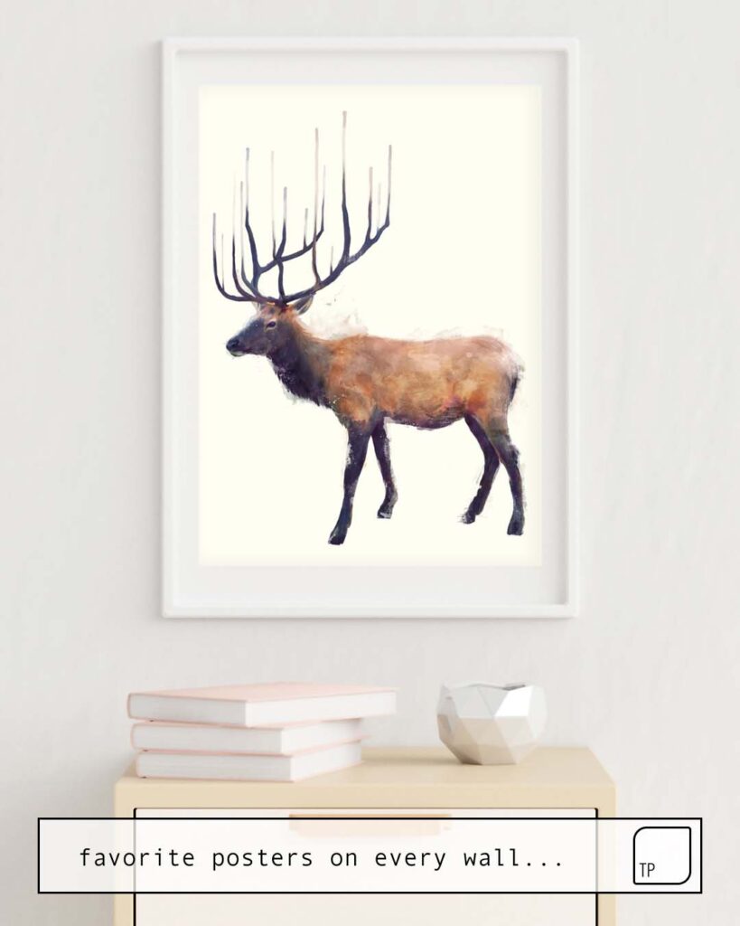 Poster Elk Reflect Left By Amy Hamilton Topposter