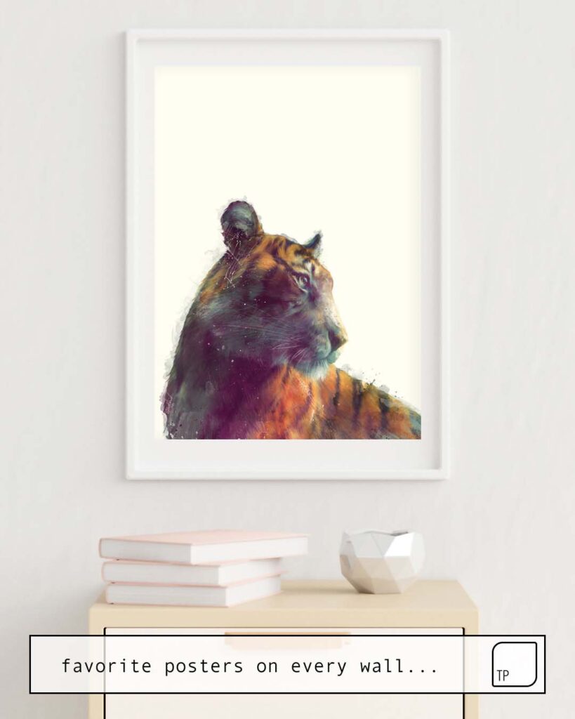 Poster Tiger Solace By Amy Hamilton Topposter